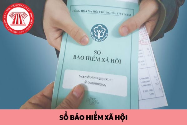 Sổ bảo hiểm xã hội do ai giữ và bảo quản? Nghỉ việc trái luật có được trả sổ bảo hiểm xã hội?