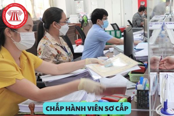 Chấp hành viên sơ cấp cơ quan thi hành án dân sự có phải chuyển đổi công tác định kỳ hay không?