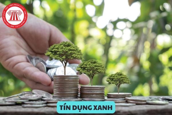 Tín dụng xanh là gì? Cơ quan nào phát hành trái phiếu tín dụng xanh?