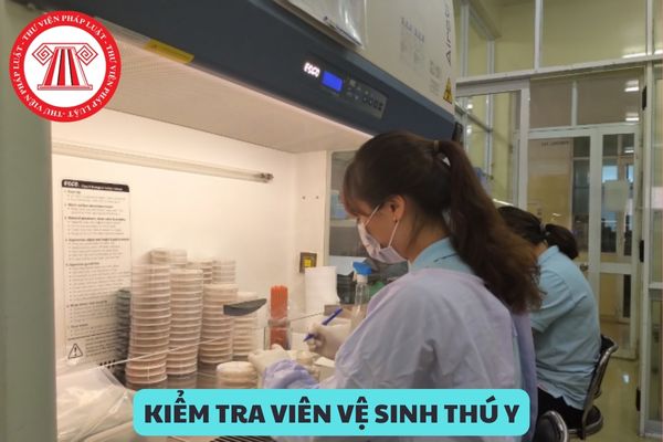 Kiểm tra viên vệ sinh thú y hạng 2 có nhiệm vụ gì? Kiểm tra viên vệ sinh thú y hạng 2 có hệ số lương bao nhiêu?