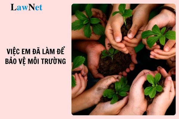 Describe the best paragraph about an action you have taken to protect the environment? General goals of the 2nd-grade Vietnamese language education program?