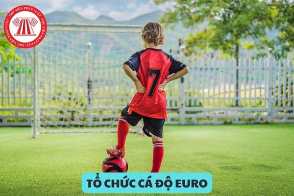 Tổ chức cá độ euro 2024 online bị phạt tù bao nhiêu năm?