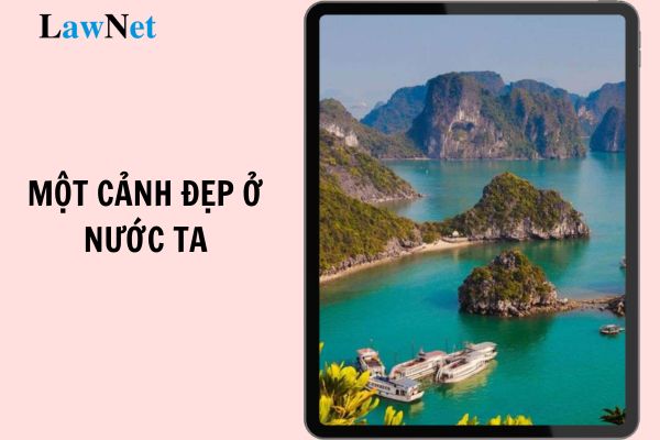 Viết đoạn văn về một bức tranh ảnh thể hiện một cảnh đẹp ở nước ta? Nhiệm vụ giáo dục tiểu học năm học 2024 2025?