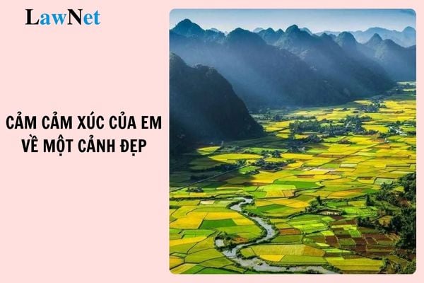 Top 6 viết đoạn văn nêu tình cảm cảm xúc của em về một cảnh đẹp ở quê hương em? Tuổi của học sinh lớp 3 là bao nhiêu?