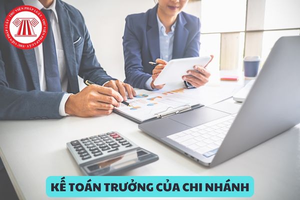 Kế toán trưởng của chi nhánh công ty nước ngoài hoạt động tại Việt Nam phải có bằng cấp gì?