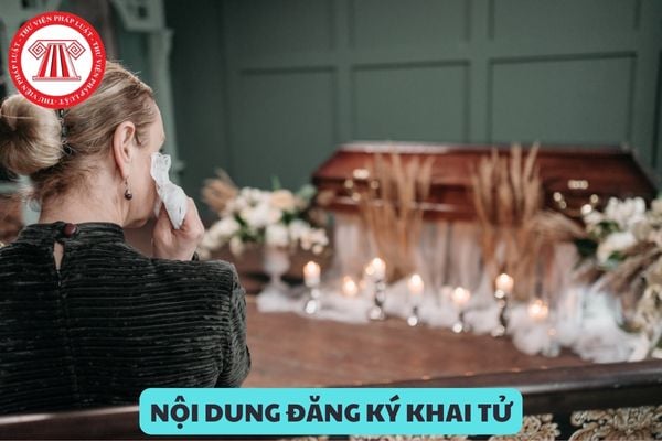 Nội dung đăng ký khai tử cho con khi con mới sinh ra đã chết gồm những gì?