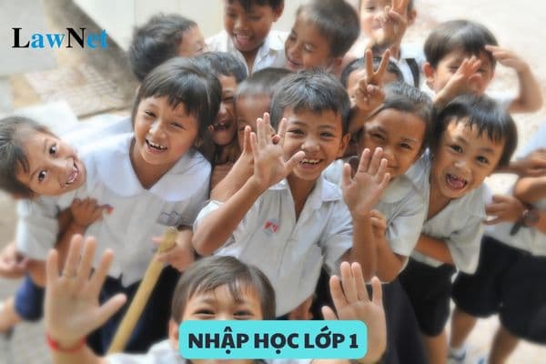 Mẫu đơn xin nhập học lớp 1 mới nhất, đầy đủ nội dung?