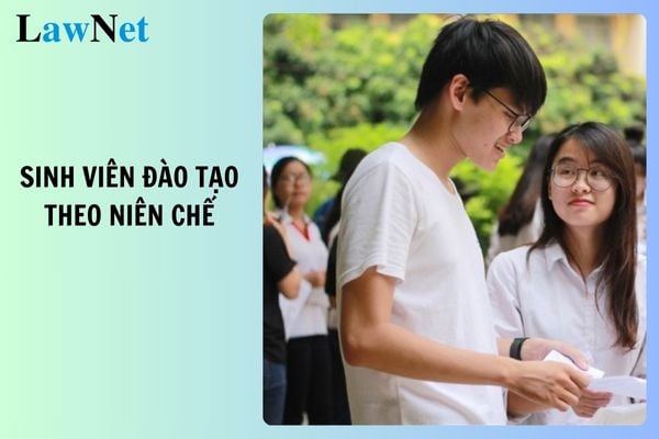 Sinh viên đào tạo theo niên chế có phải tự đăng kí học phần không?