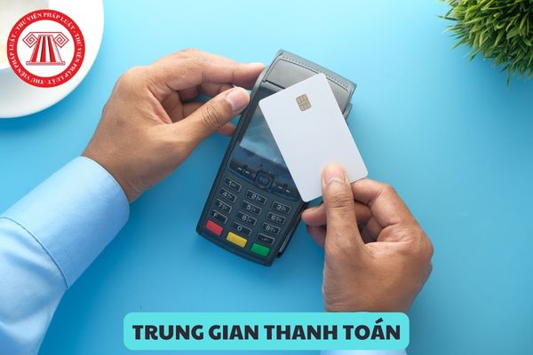 Từ ngày 01/07/2024 hồ sơ đề nghị cấp Giấy phép hoạt động cung ứng dịch vụ trung gian thanh toán cần những loại giấy tờ gì?