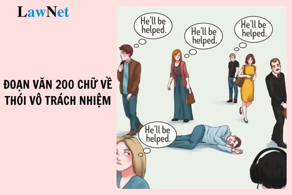 Mẫu viết đoạn văn 200 chữ về thói vô trách nhiệm hiện nay hay nhất? Hoạt động giáo dục trong trường trung học cơ sở ra sao?