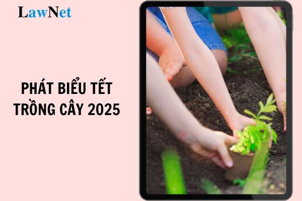 Latest Sample Speech for the Tree Planting New Year 2025? What are the current regulations regarding extra teaching and learning in schools?