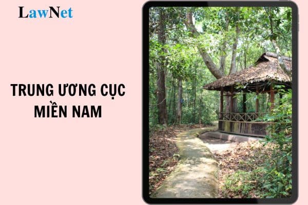 Trung ương Cục miền Nam ra đời trong hoàn cảnh nào? Vai trò của Trung ương Cục miền Nam trong cuộc kháng chiến chống Mỹ, cứu nước?