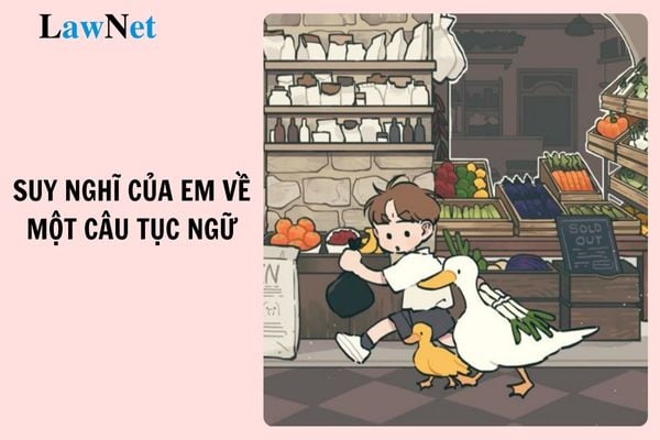 Top mẫu viết bài văn nghị luận trình bày suy nghĩ của em về một câu tục ngữ hoặc danh ngôn?