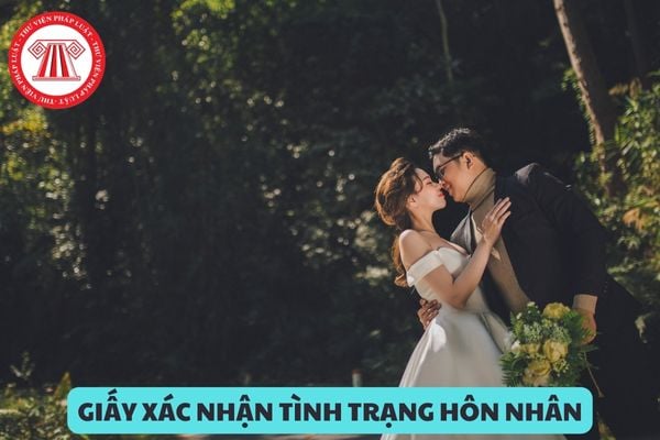 Có được cấp giấy xác nhận tình trạng hôn nhân để kết hôn với người đồng giới tại cơ quan đại diện nước ngoài?