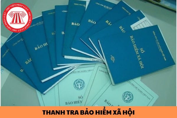 Thanh tra Bảo hiểm xã hội Việt Nam gồm có những ai? Thanh tra Bảo hiểm xã hội Việt Nam có chức năng gì?