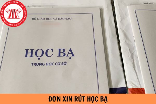 Mẫu đơn xin rút học bạ mới nhất năm 2024?