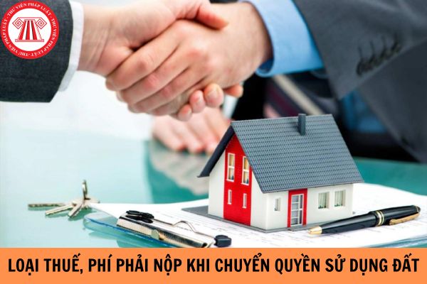 Các loại thuế, phí phải nộp khi chuyển quyền sử dụng đất?