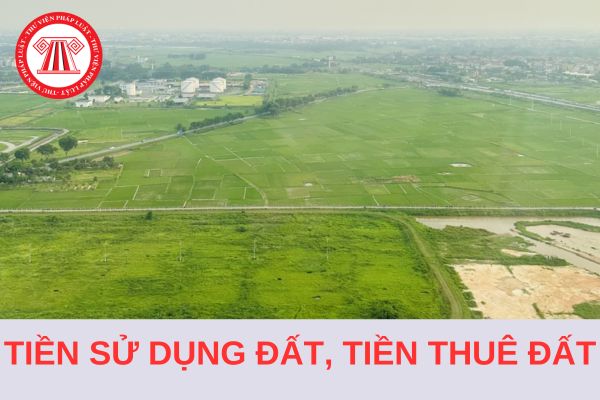 Ban hành Nghị định 103/2024/NĐ-CP quy định về tiền sử dụng đất, tiền thuê đất?