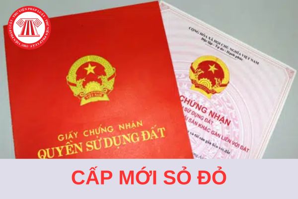 Từ 1/8/2024, trường hợp nào phải cấp mới Sổ đỏ khi đăng ký biến động đất đai?