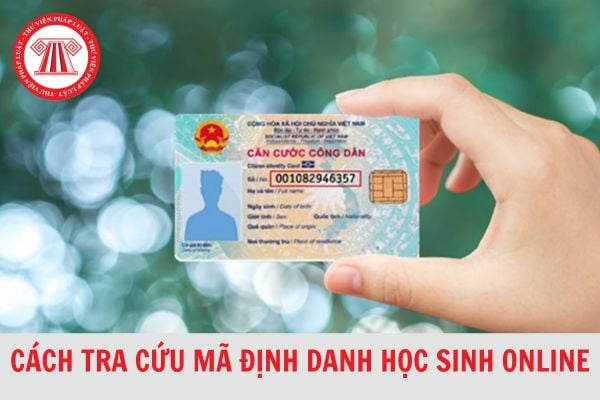 Hướng dẫn cách tra cứu mã định danh học sinh online nhanh chóng, mới nhất 2024?