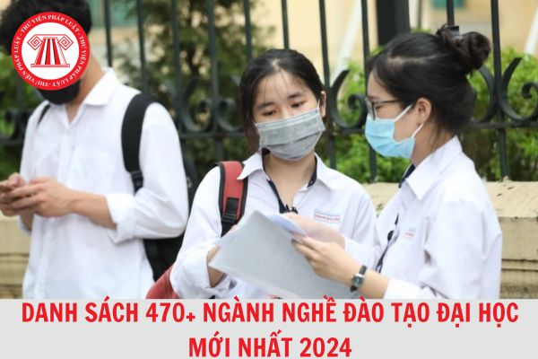 Chi tiết danh sách 470+ ngành nghề đào tạo đại học cập nhật mới nhất 2024?