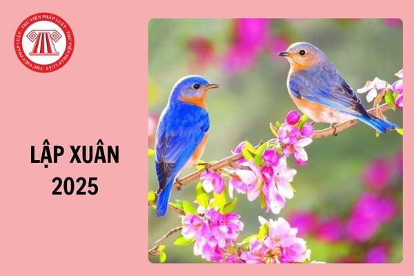 Lập xuân 2025 vào ngày nào âm lịch? Lập xuân 2025 lúc mấy giờ?