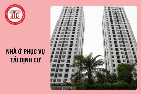 Mẫu báo cáo thông tin, dữ liệu về nhà ở phục vụ tái định cư 2024?