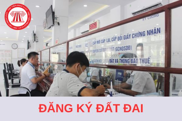 Mẫu tờ trình về việc đăng ký đất đai, tài sản gắn liền với đất mới nhất 2024?