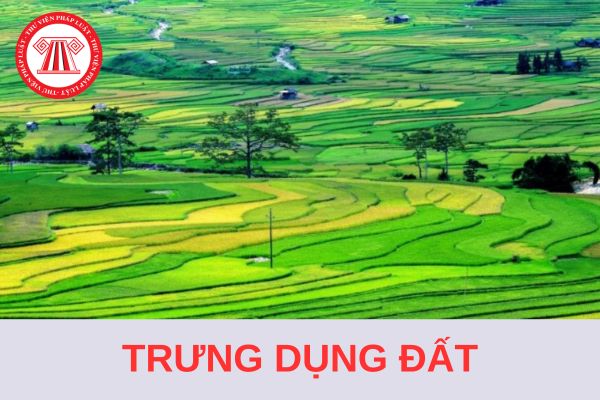 Quy định chi tiết về trình tự, thủ tục trưng dụng đất từ ngày 1/8/2024?