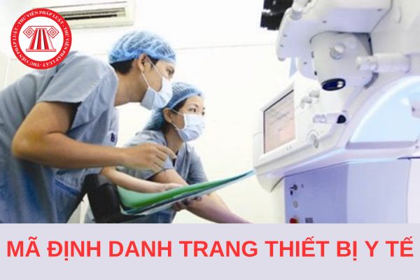 Cấu trúc mã định danh trang thiết bị y tế theo TCVN 13996:2024?