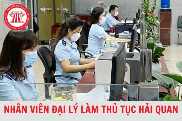 Mã số nhân viên đại lý làm thủ tục hải quan được thay đổi theo số định danh cá nhân hay số CCCD?