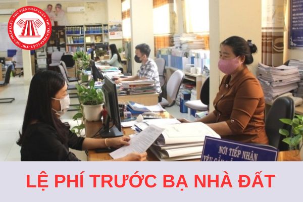 Cách ghi Tờ khai lệ phí trước bạ nhà đất chuẩn pháp lý, mới nhất 2024?