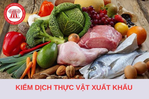 Thủ tục kiểm dịch thực vật xuất khẩu thực hiện thế nào?