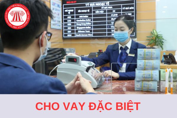 Mẫu báo cáo số liệu cho vay đặc biệt đối với tổ chức tín dụng 2024 và hướng dẫn lập?