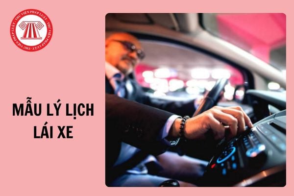 Tải về Mẫu lý lịch lái xe kinh doanh vận tải áp dụng từ 1/1/2025?