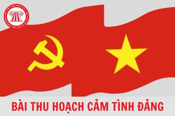 Cấu trúc chuẩn của một bài thu hoạch cảm tình Đảng 2024? Bao nhiêu tuổi thì được kết nạp Đảng?