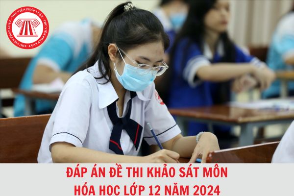 Trọn bộ đáp án đề thi khảo sát môn Hóa học lớp 12 Sở Giáo dục và đào tạo Hà Nội năm 2024?