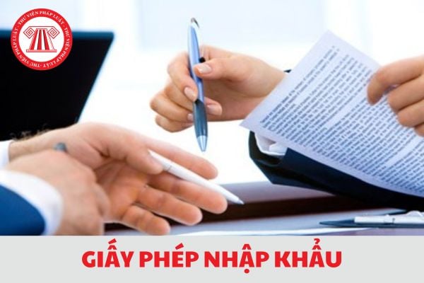 Hướng dẫn quy trình cấp Giấy phép nhập khẩu theo hạn ngạch thuế quan 2024?