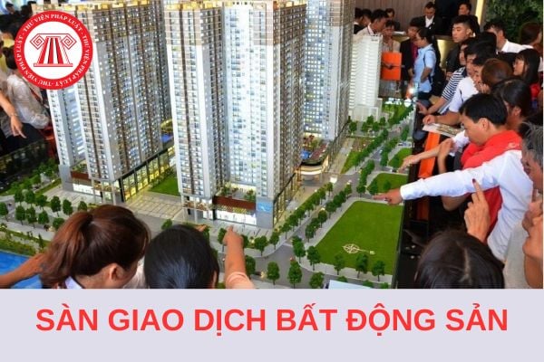 Các trường hợp thu hồi giấy phép, chấm dứt hoạt động của sàn giao dịch bất động sản từ 1/8/2024?