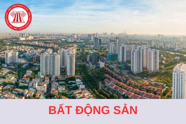 Mẫu quyết định về việc cho phép chuyển nhượng toàn bộ (hoặc một phần) dự án bất động sản 2024?