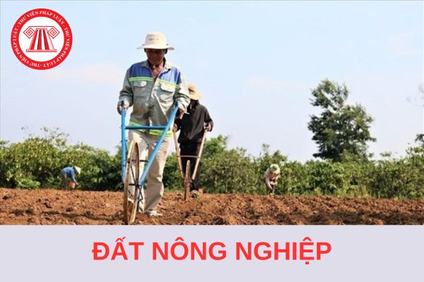 Đất nông nghiệp có chia vị trí không? Xác định vị trí đất nông nghiệp trong xây dựng bảng giá đất?