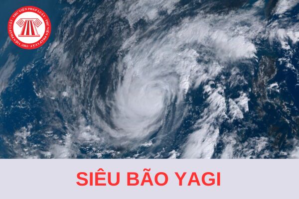 Tại sao bão Yagi trở thành siêu bão? Bão Yagi bao giờ vào Hà Nội? 