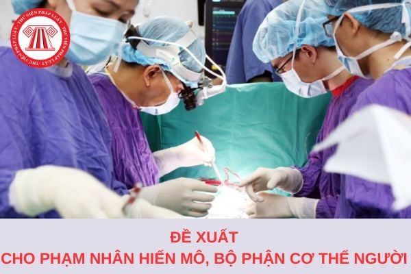 Bộ Công an đề xuất cho phạm nhân hiến mô, một phần bộ phận cơ thể người?