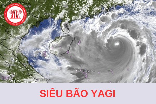 Bão Yagi là gì? Người dân cần làm gì để Ứng phó với siêu bão số 3 (YAGI)?