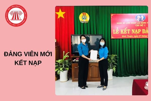 Hỏi đáp Pháp luật