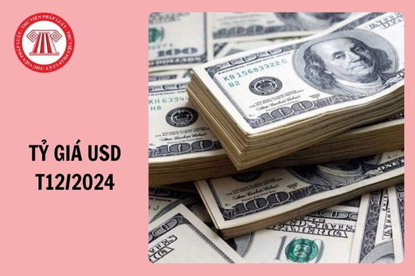 Tỷ giá 1 USD bằng bao nhiêu tiền Việt Nam (Cập nhật Tháng 12/2024)?