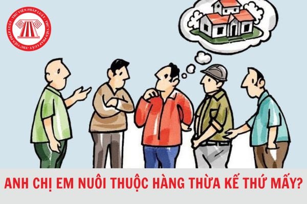 Anh chị em nuôi thuộc hàng thừa kế thứ mấy?