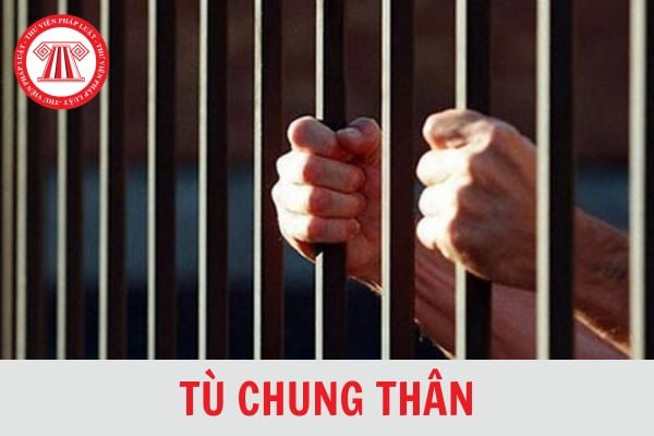 Tù chung thân đã giảm án có thể được tha tù trước thời hạn hay không?