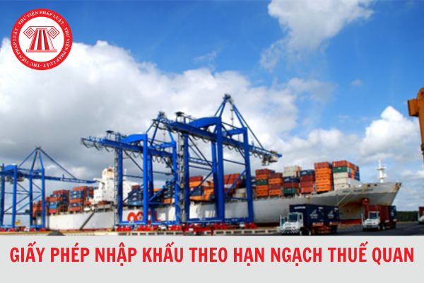 Năm 2024, hồ sơ cấp giấy phép nhập khẩu theo hạn ngạch thuế quan gồm giấy tờ gì?