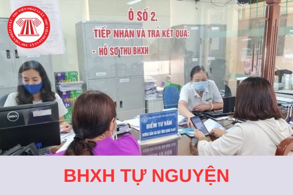 Thời hạn đóng bảo hiểm xã hội tự nguyện từ ngày 1/7/2025 là khi nào?